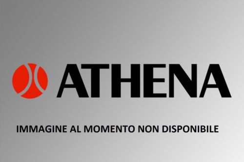 Guarnizione base cilindro - guarnizione,